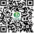 骚穴吃逼日逼网站